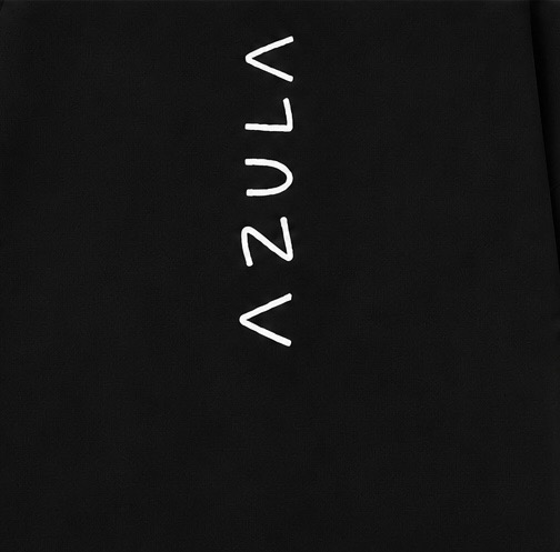 Vue 6